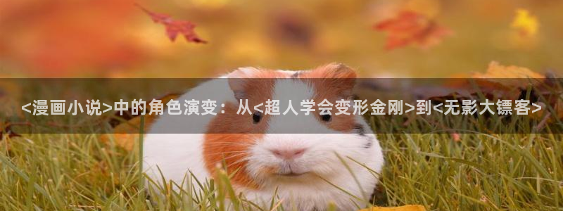 韩漫嘿嘿漫画在线观看：<漫画小说>中的角色演变：从<超人学会变形金刚>到<无影大镖客>