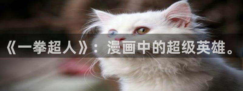 免费韩漫阅读全免费：《一拳超人》：漫画中的超级英雄。