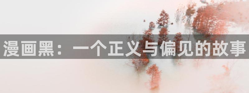 免费看韩漫画：漫画黑：一个正义与偏见的故事