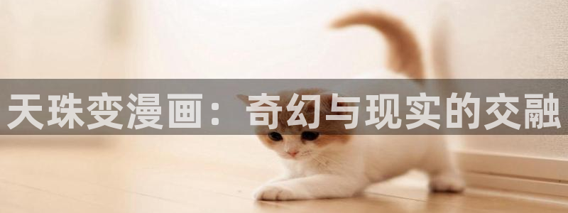 黄韩漫免费网站：天珠变漫画：奇幻与现实的交融