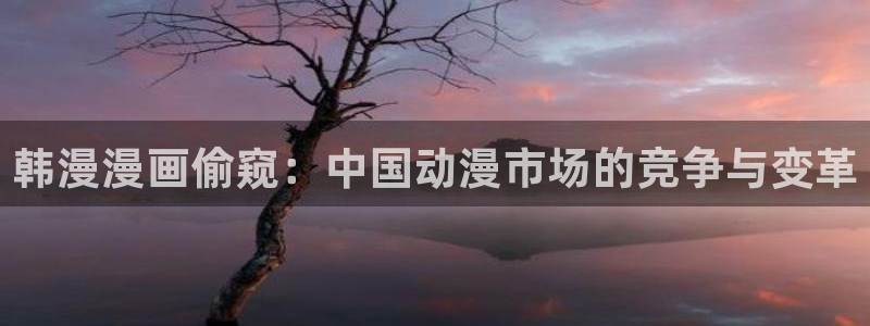 日漫韩漫在线免费看：韩漫漫画偷窥：中国动漫市场的竞争与变革