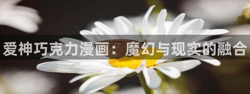 《三人》韩漫双男主漫画免费观看：爱神巧克力漫画：魔幻与现实的融合