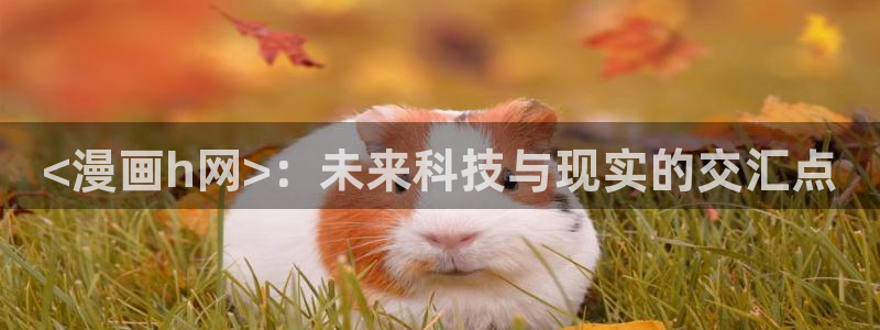 哪里有看韩漫的网站