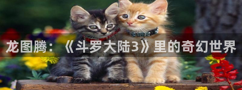 韩漫科普网
