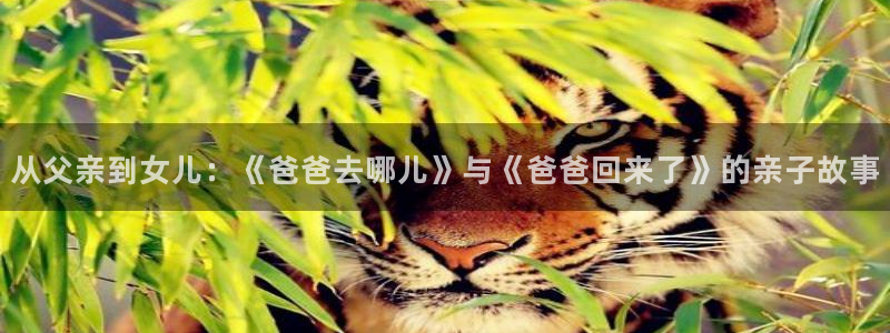 羞羞韩漫官网