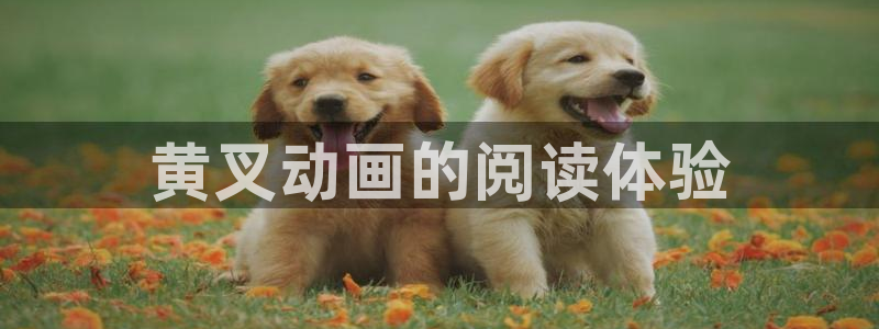韩漫羞羞免费观看