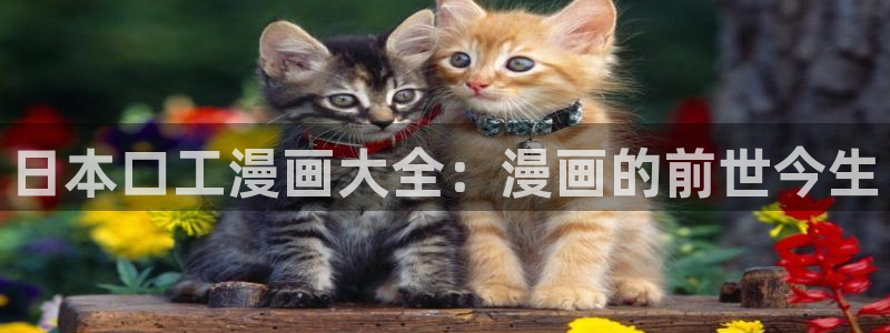 来来去去韩漫在线观看