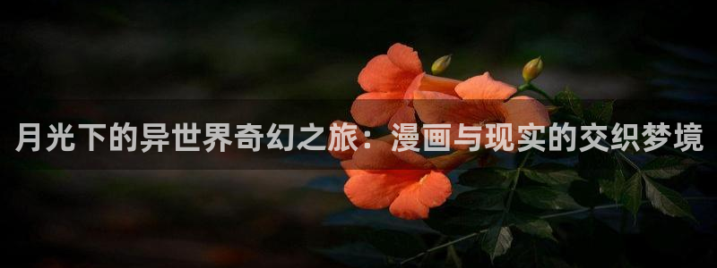 韩漫天堂漫画下载：月光下的异世界奇幻之旅：漫画与现实的交织梦境