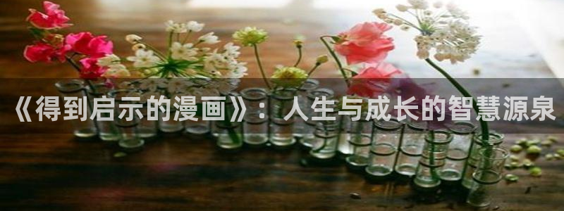 韩漫网站平台：《得到启示的漫画》：人生与成长的智慧源泉