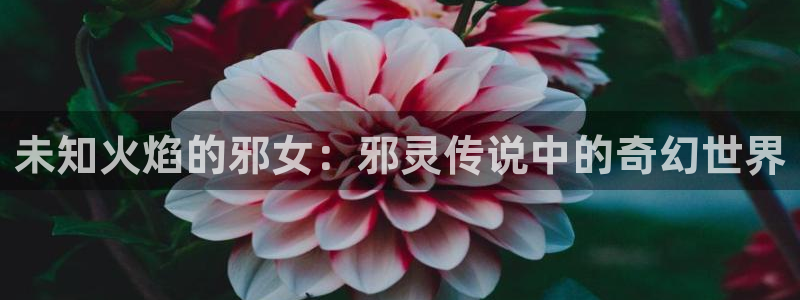 韩漫,网址：未知火焰的邪女：邪灵传说中的奇幻世界
